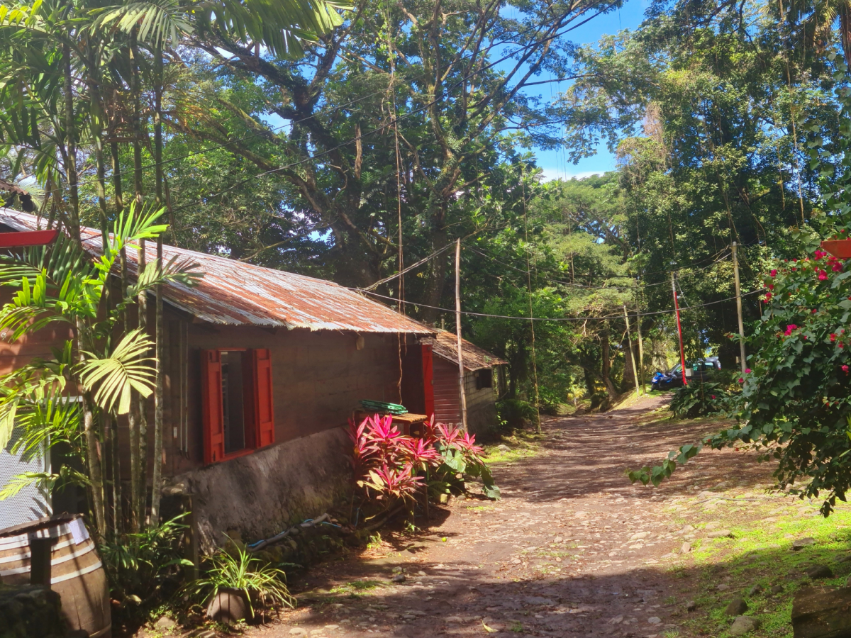 Virée dans le Nord – Caraïbes&nbsp;!