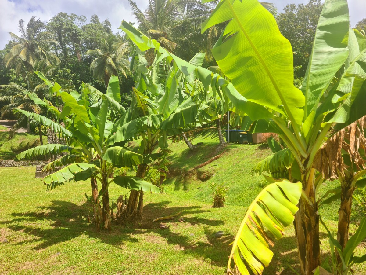 SAINTE-MARIE, entre tradition et&nbsp;authenticité