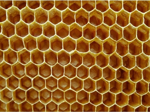 Vis ma vie d&rsquo;apiculteur : le miel local, l’or jaune à consommer presque sans&nbsp;modération