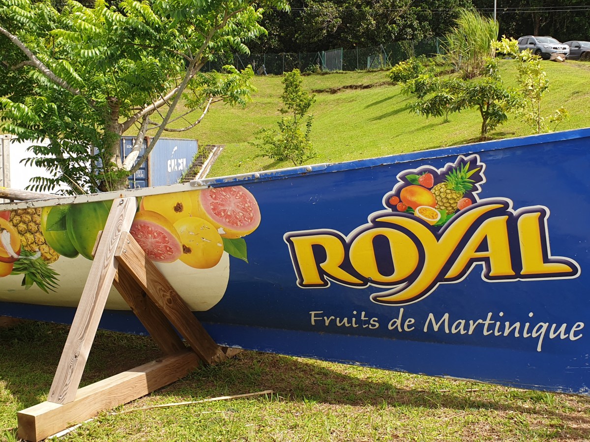 Au moins 3 bonnes raisons d&rsquo;aller au Gros Morne&nbsp;!