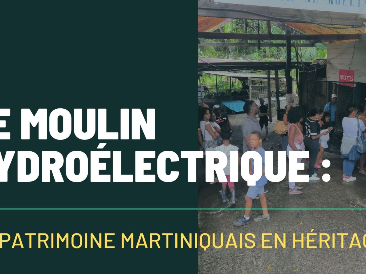 Le moulin hydroélectrique : un patrimoine martiniquais en&nbsp;héritage