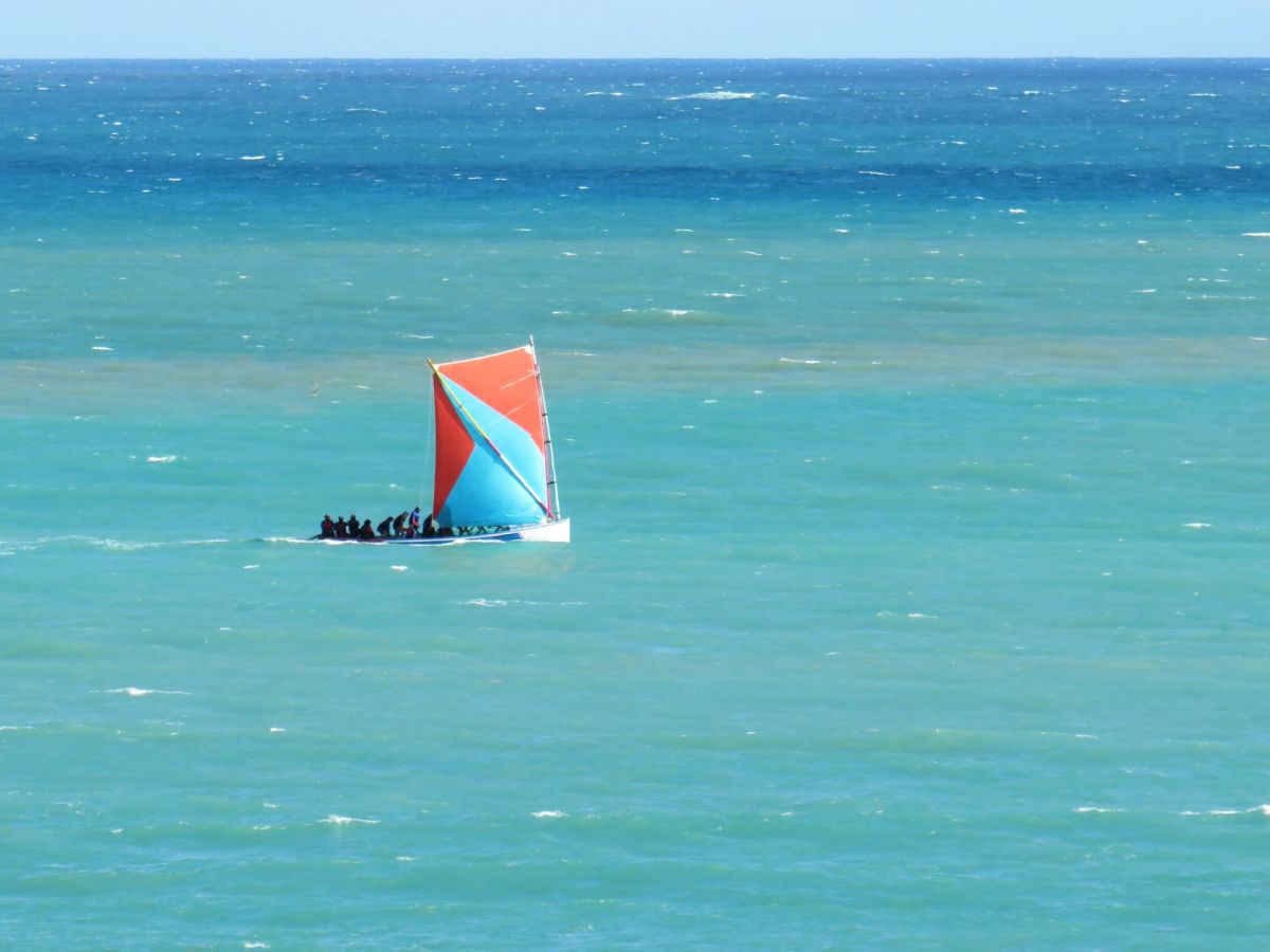 Que faire en Martinique ce week-end (25, 26 et 27 juillet 2025)&nbsp;?