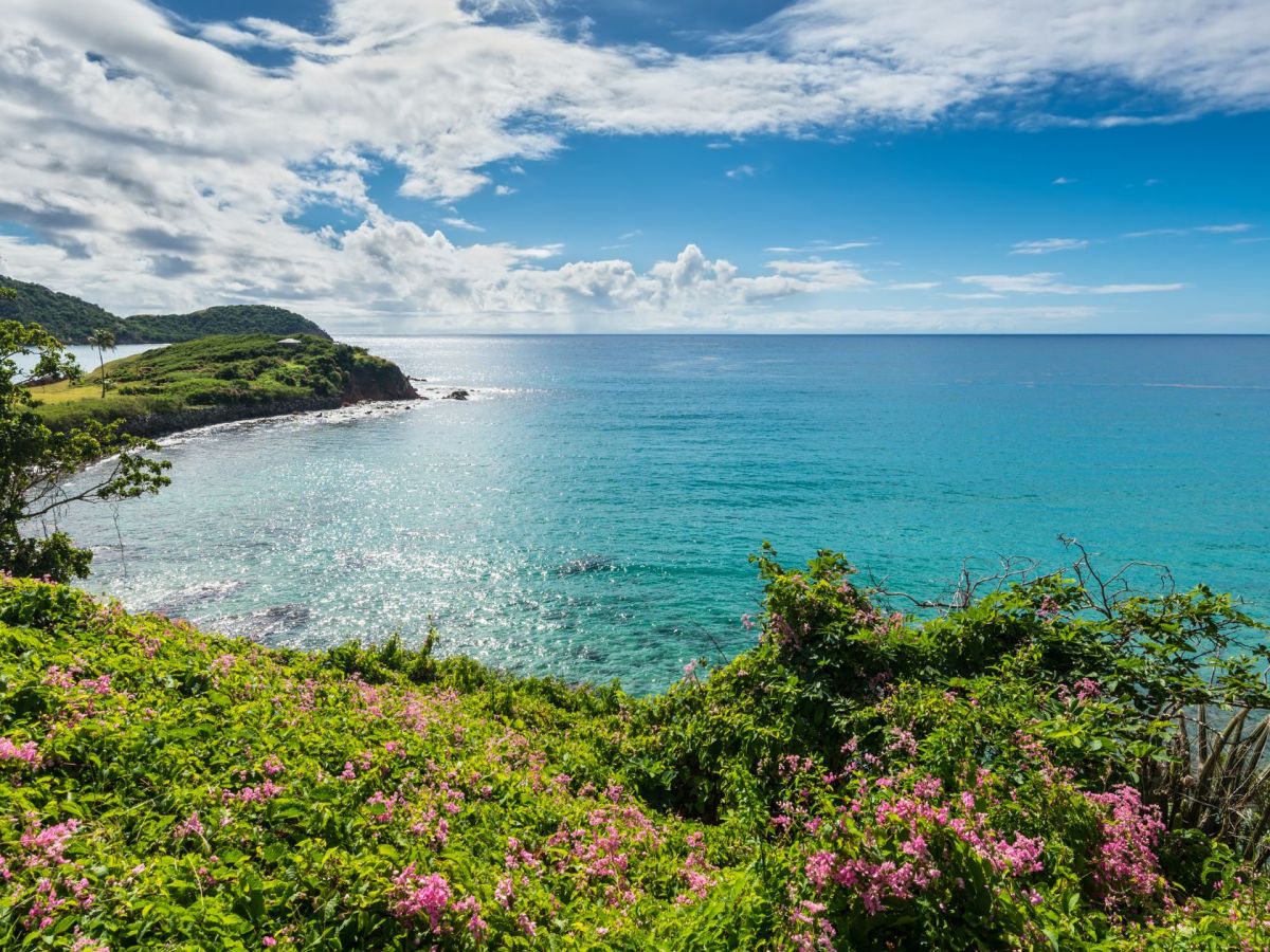 Que faire en Martinique ce week-end (05, 06 et 07 septembre 2025)&nbsp;?