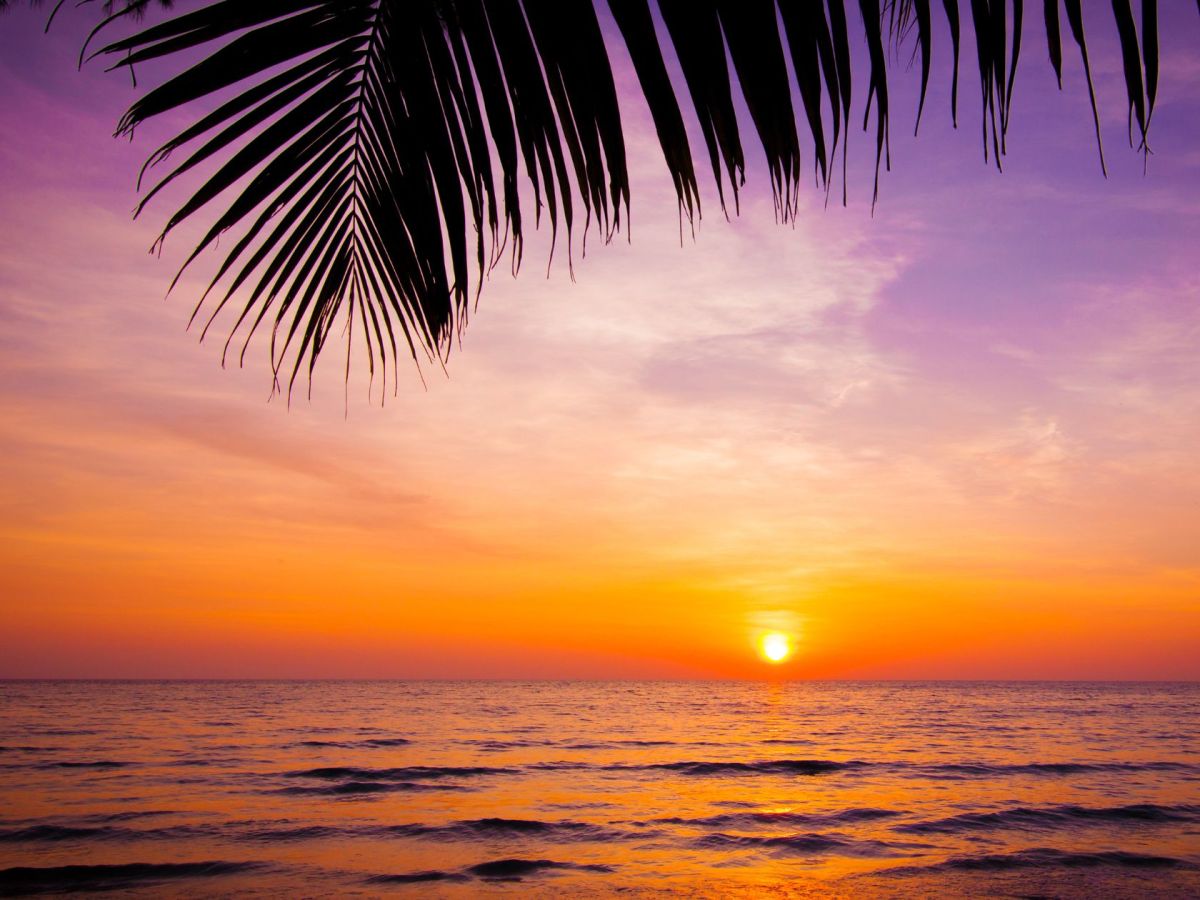 Que faire en Martinique ce week-end (10, 11 et 12 octobre 2025)&nbsp;?