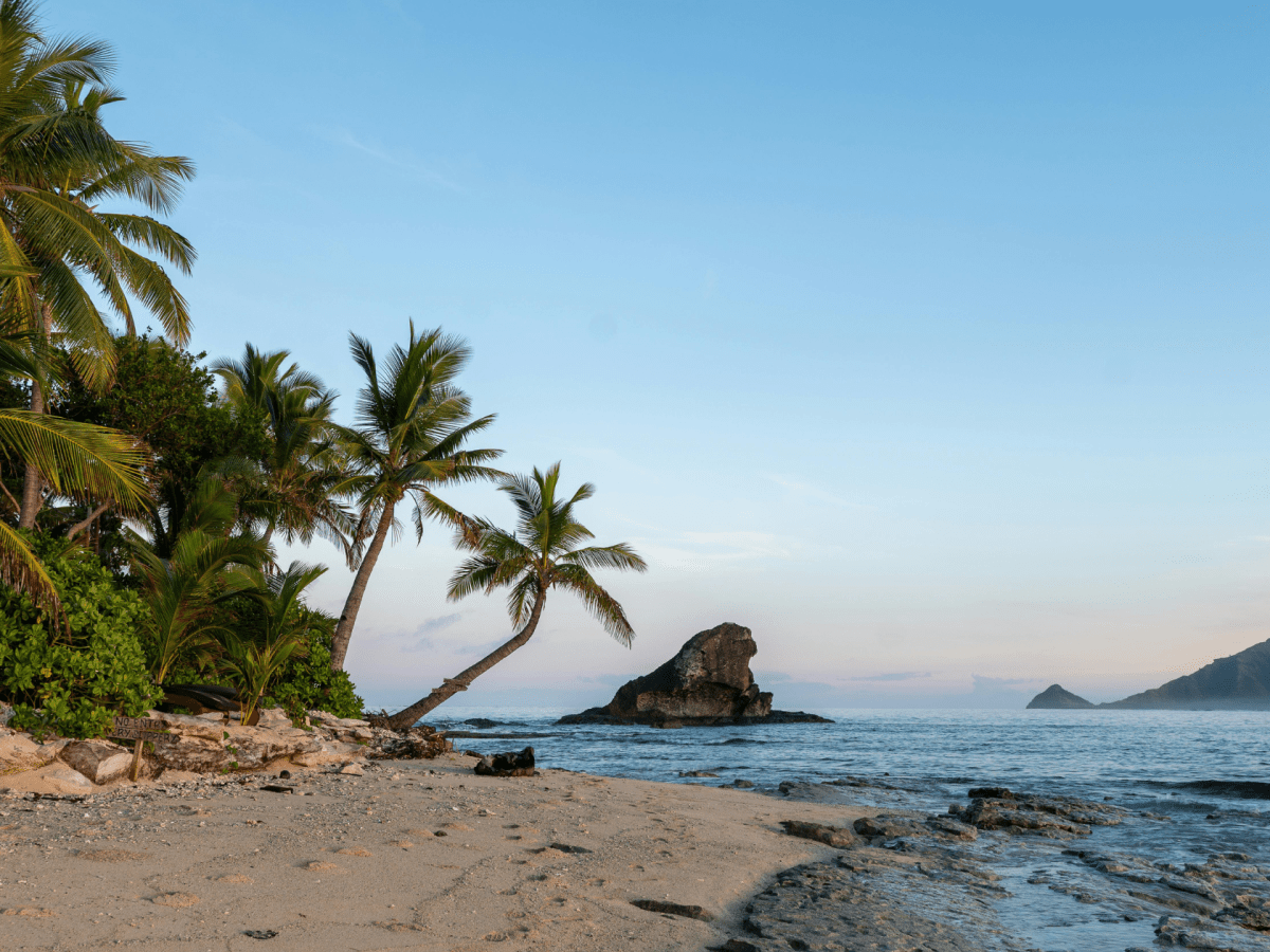 Que faire en Martinique ce week-end (24, 25 et 26 octobre 2025)&nbsp;?