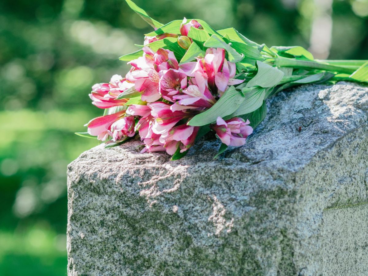 Que faire en Martinique ce week-end (31 octobre, 01 et 02 novembre 2025)&nbsp;?