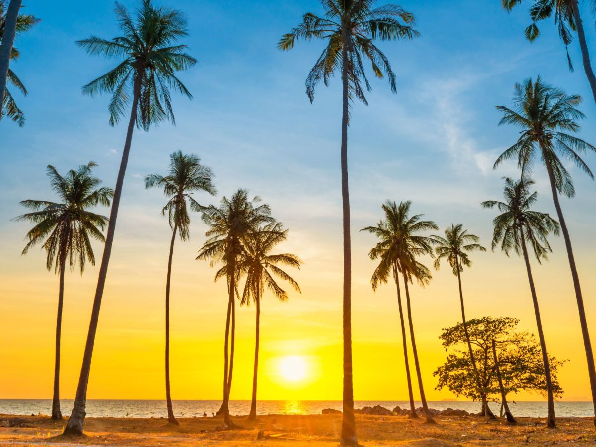 Que faire en Martinique ce week-end (17, 18 et 19 octobre 2025)&nbsp;?