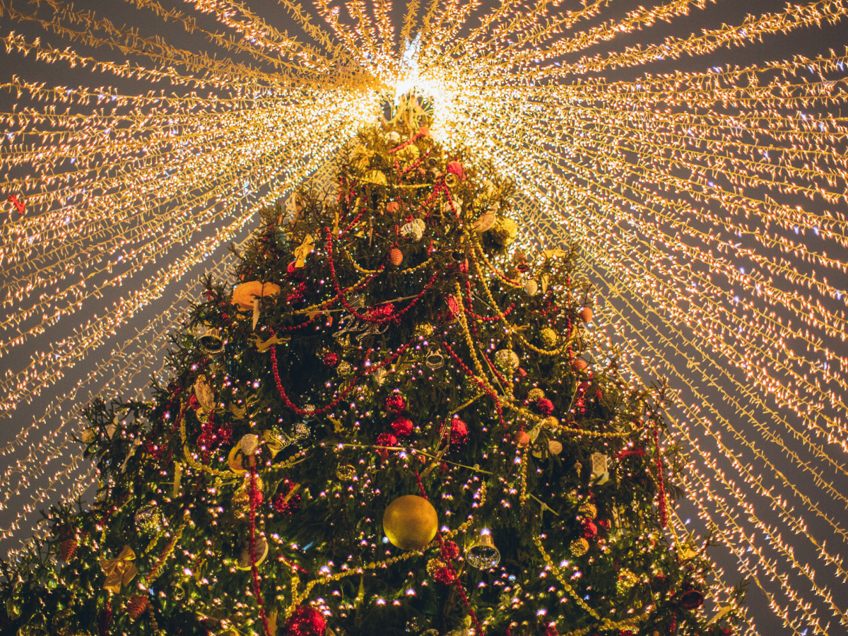 Que faire en Martinique ce week-end (05, 06 et 07 décembre 2025)&nbsp;?