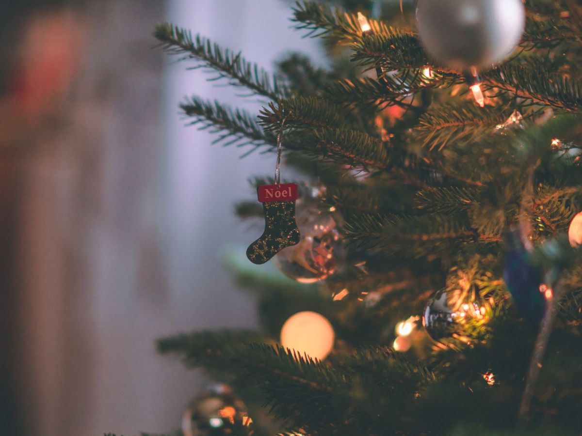 Que faire en Martinique ce week-end (12, 13 et 14 décembre 2025)&nbsp;?