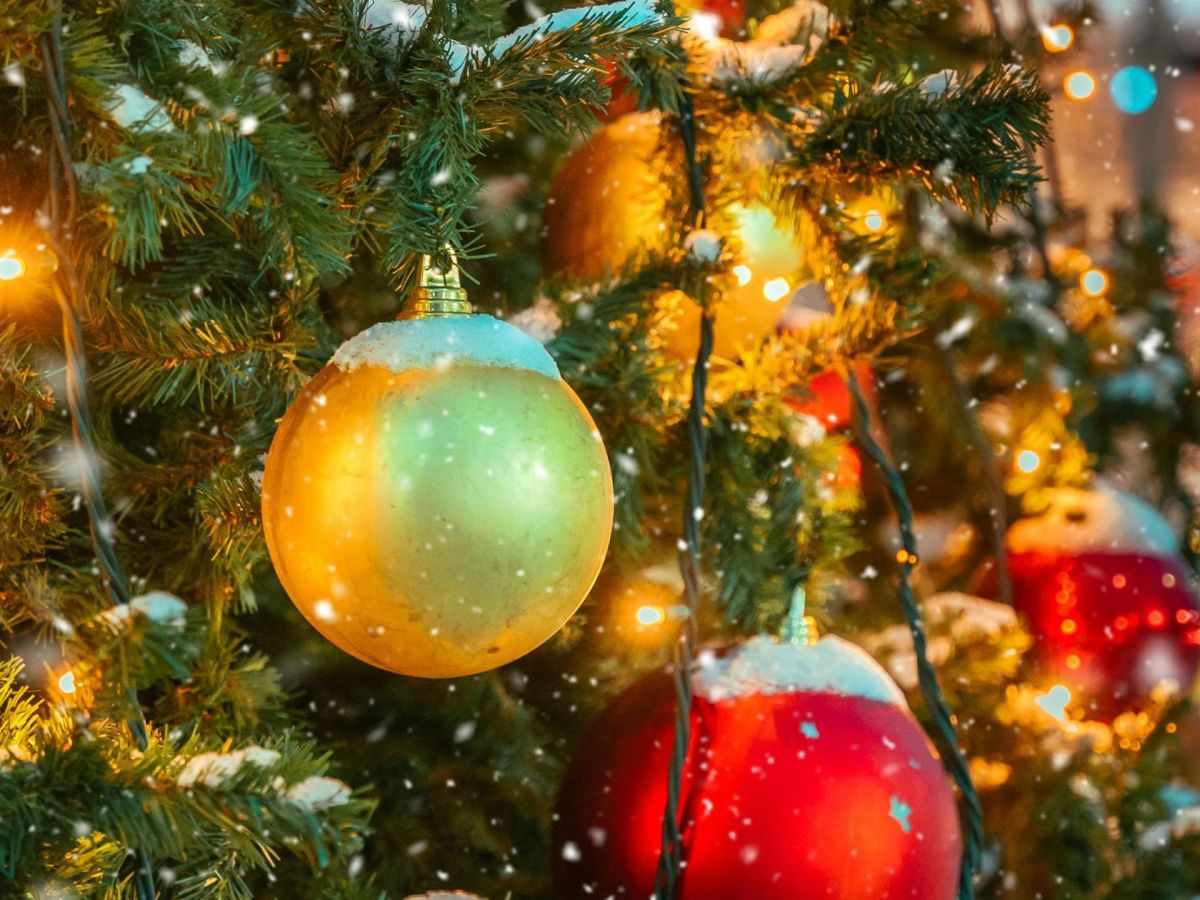 Que faire en Martinique ce week-end (19, 20 et 21 décembre 2025)&nbsp;?