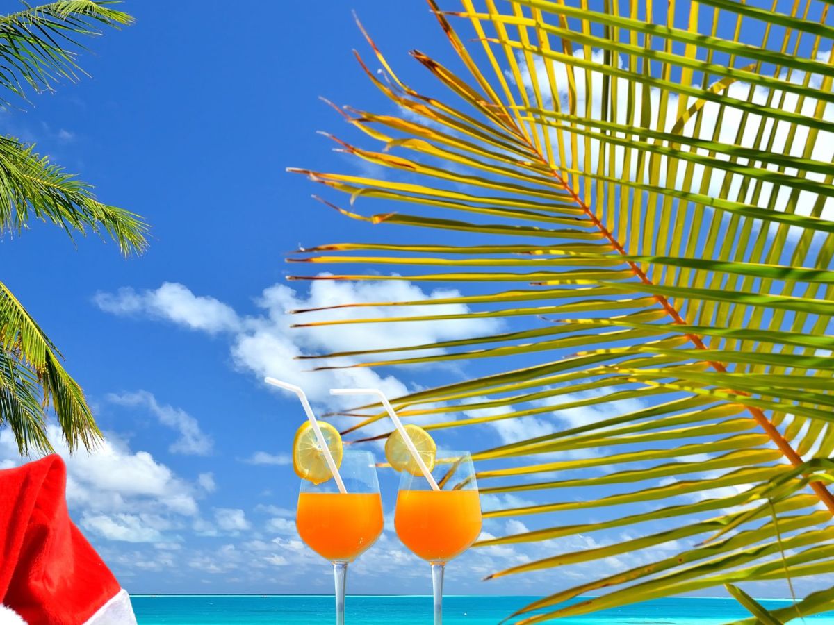 Que faire en Martinique ce week-end (26, 27 et 28 décembre 2025)&nbsp;?