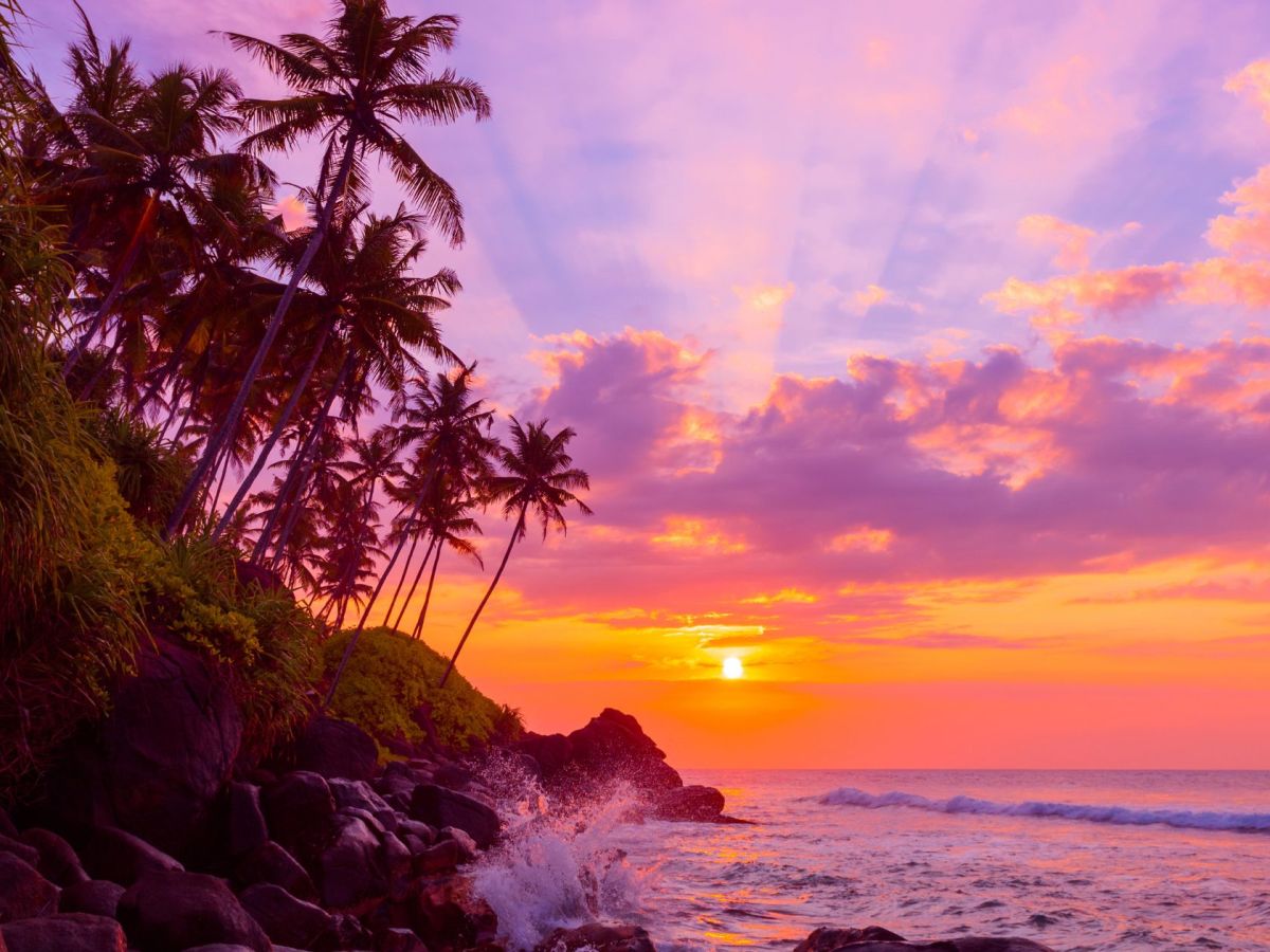 Que faire en Martinique ce week-end (06, 07 et 08 février 2026)&nbsp;?