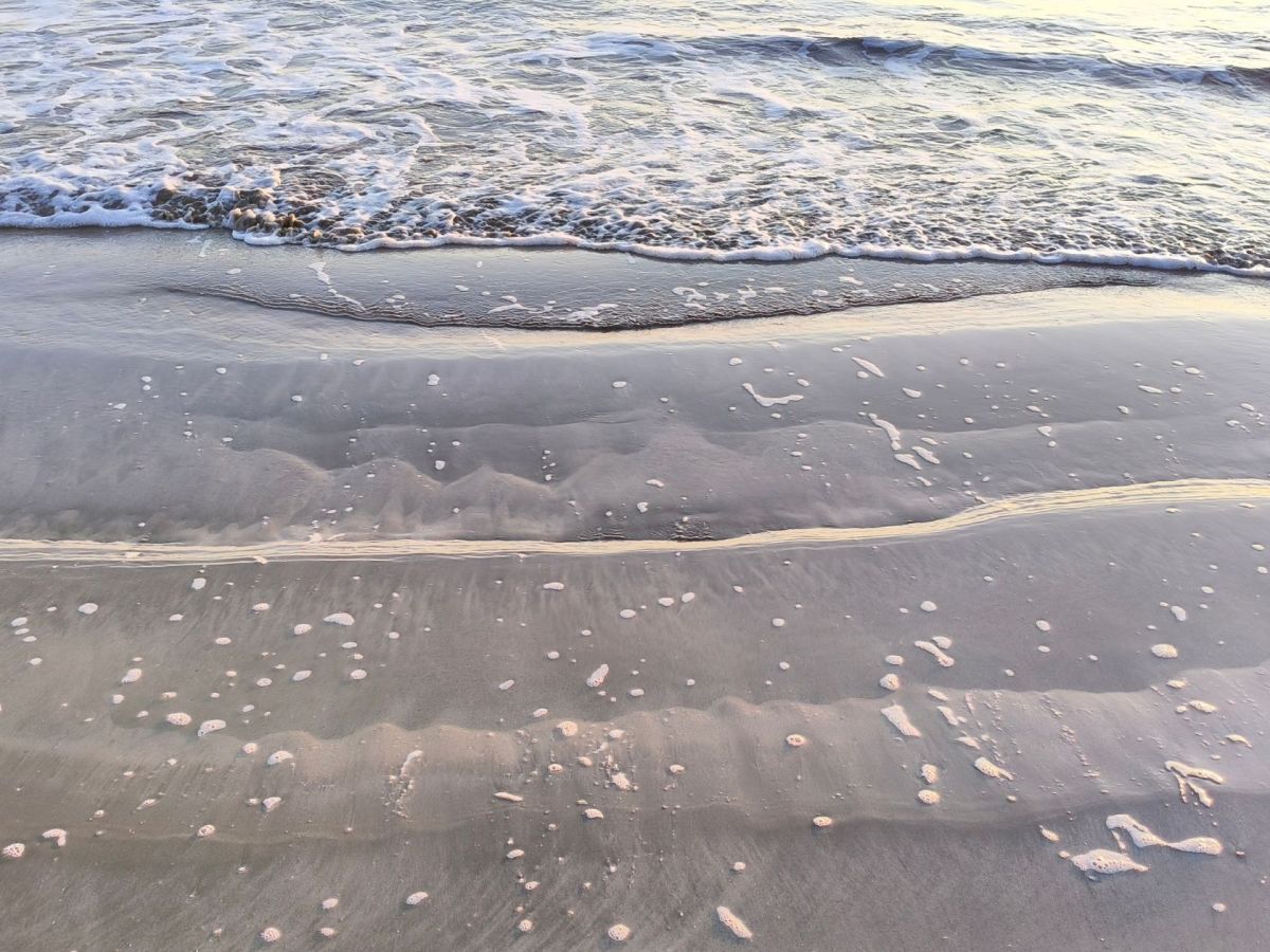 Que faire en Martinique ce week-end (27, 28 février et 1er mars 2026)&nbsp;?