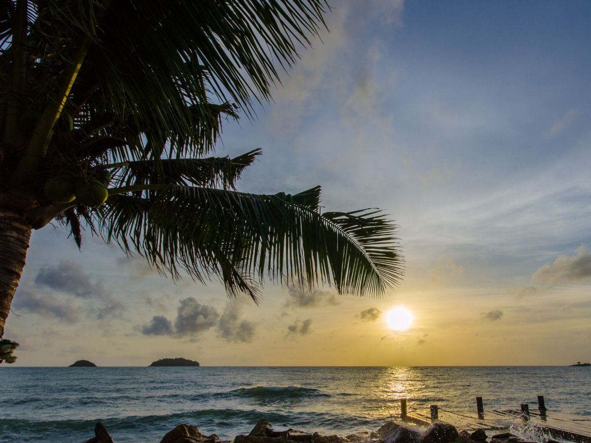 Que faire en Martinique ce week-end (20, 21 et 22 février 2026)&nbsp;?