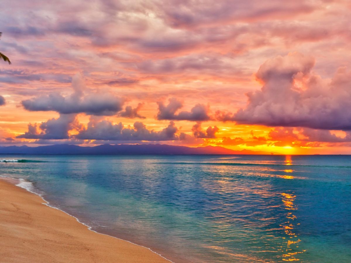 Que faire en Martinique ce week-end (06, 07, 08 mars 2026)&nbsp;?