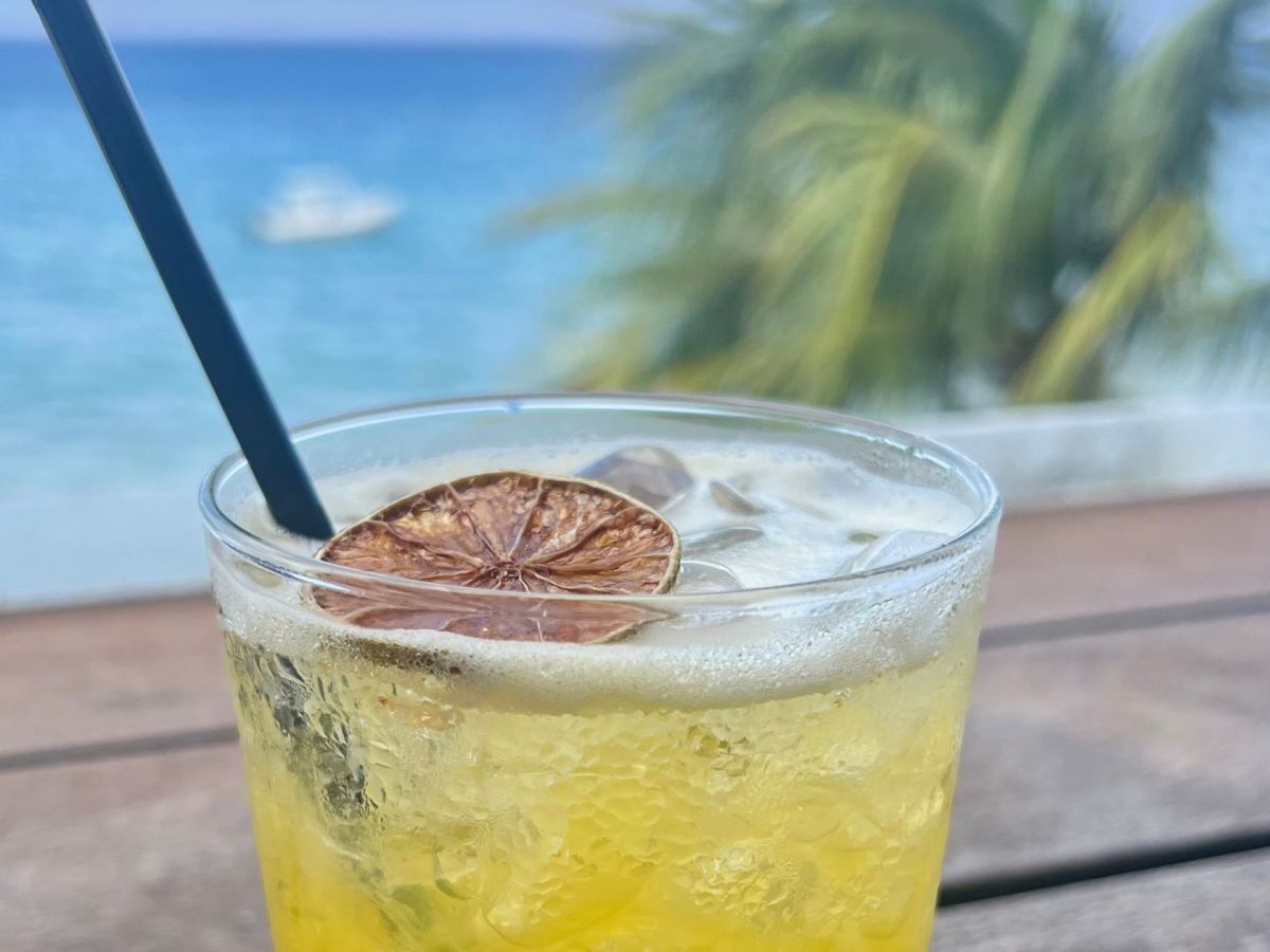 Que faire en Martinique ce week-end (13, 14, 15 mars 2026)&nbsp;?