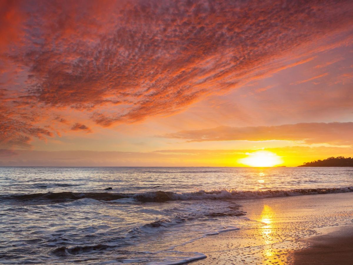 Que faire en Martinique ce week-end (27, 28, 29 mars 2026)&nbsp;?