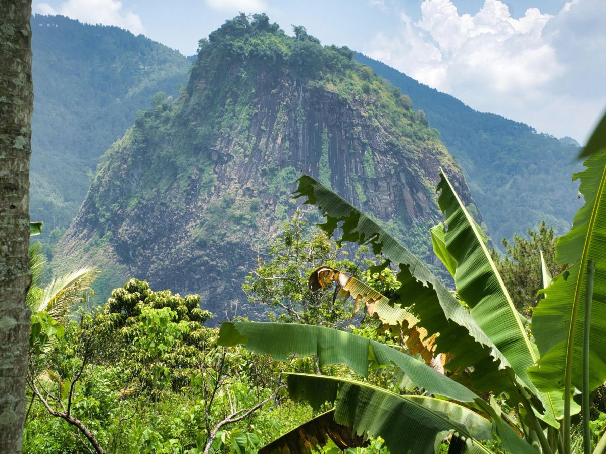 Que faire en Martinique ce week-end (15, 16 et 17 mai 2026)&nbsp;?