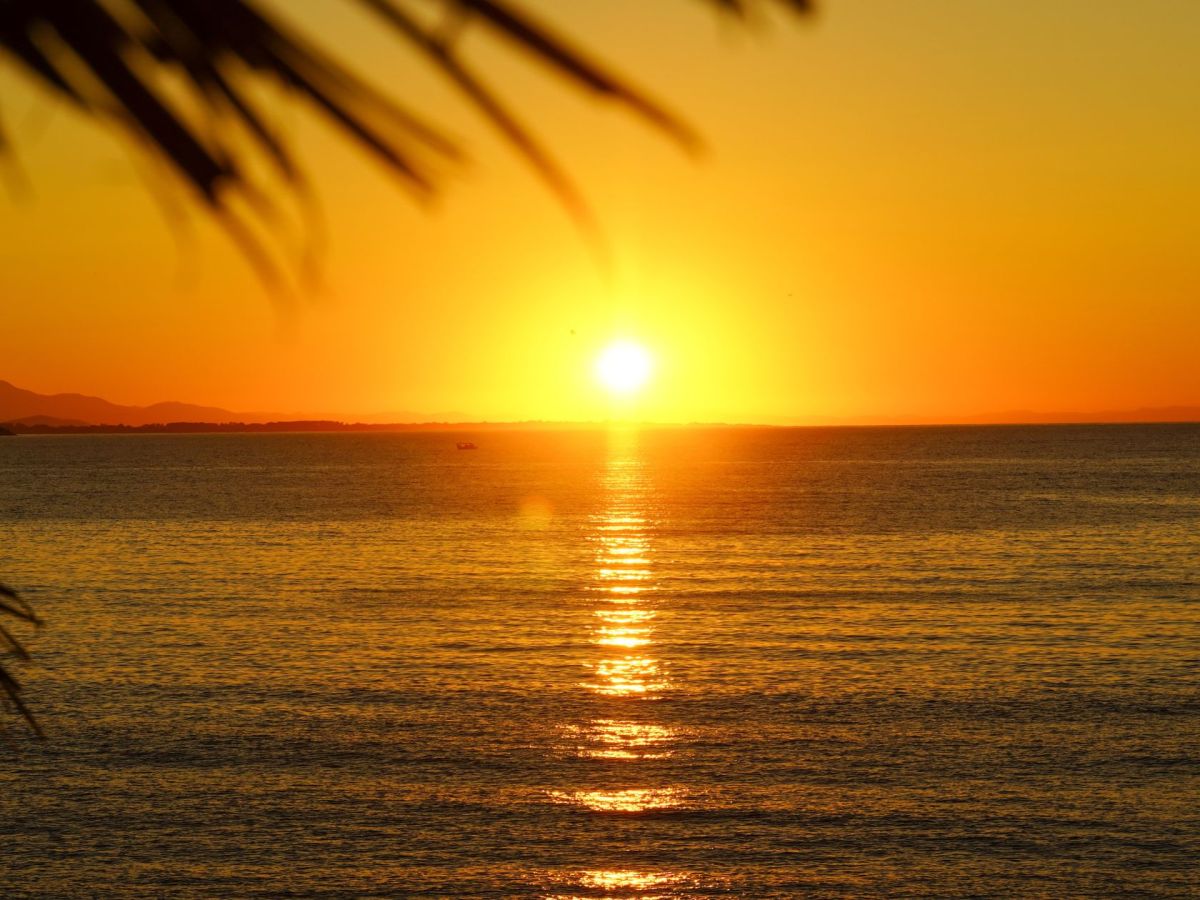 Que faire en Martinique ce week-end (12, 13 et 14 juin 2026)&nbsp;?