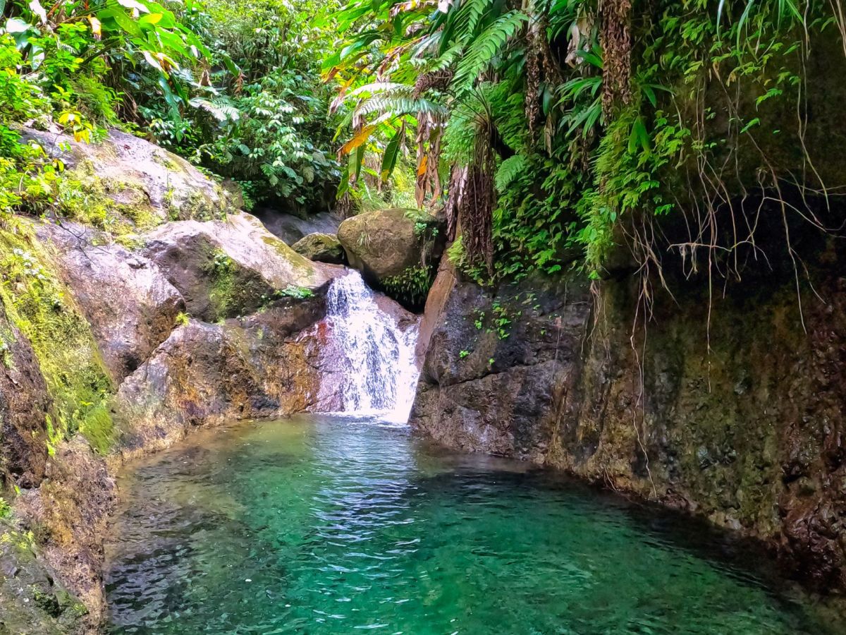 Que faire en Martinique ce week-end (26, 27 et 28 juin 2026)&nbsp;?